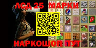 прущие грибы Можга