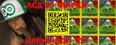 прущие грибы Новозыбков