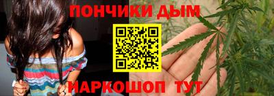 прущие грибы Можга